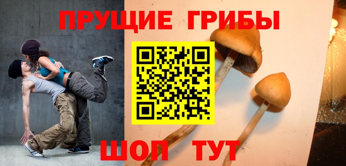 Черняховск  Галлюциногенные грибы Magic Shrooms  Вход с VPN  Галлюциногенные грибы Psilocybine cubensis 